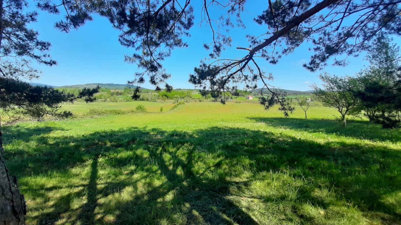 Tiny House Grabovac Villa Rakovica Eksteriør bilde