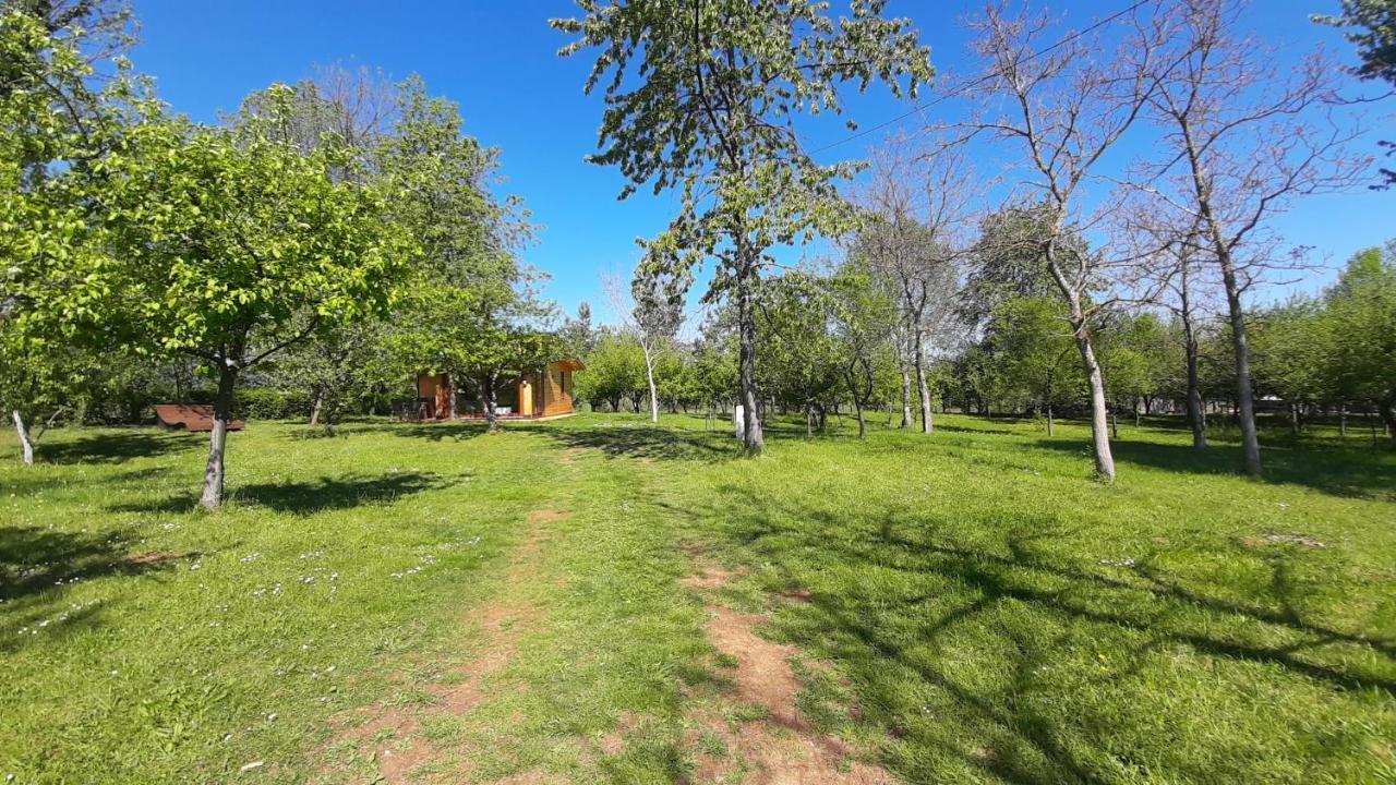 Tiny House Grabovac Villa Rakovica Eksteriør bilde