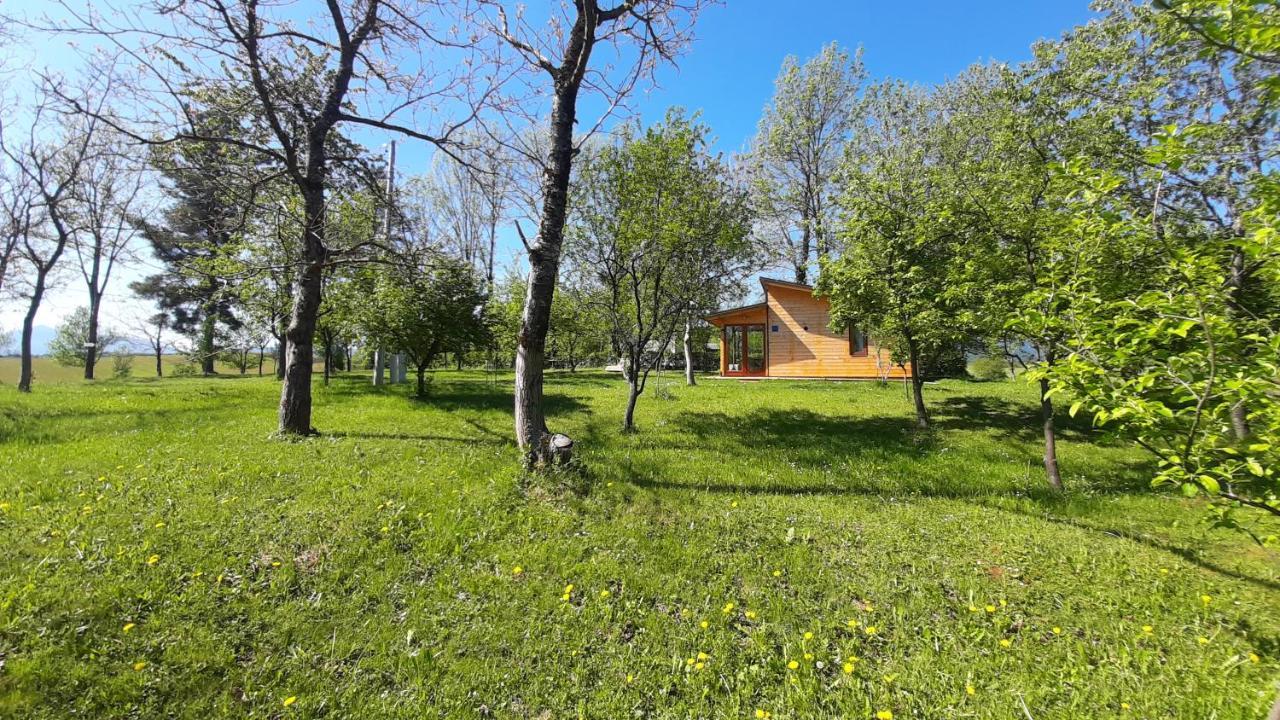 Tiny House Grabovac Villa Rakovica Eksteriør bilde