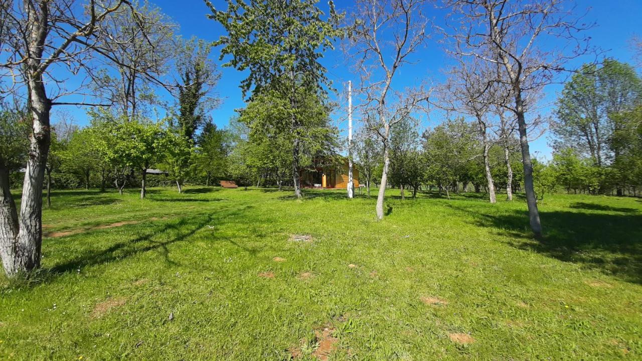 Tiny House Grabovac Villa Rakovica Eksteriør bilde